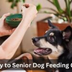 Dog Feeding Schedule by Age