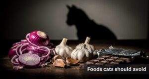 foods-cats-should-avoid-chocolate-onions