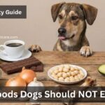 what foods dogs should not eat