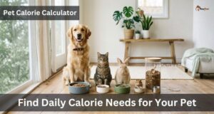 Pet Calorie Calculator