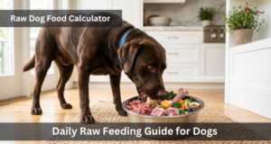 Raw Dog Food Calculator