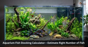 Aquarium Fish Stocking Calculator