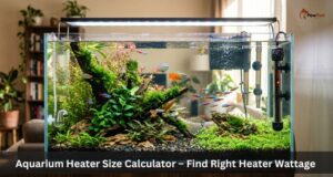 Aquarium Heater Size Calculator