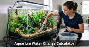 Aquarium Water Change Calculator