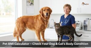 Pet BMI Calculator