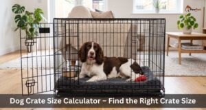Dog Crate Size Calculator
