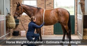 Horse Weight Calculator
