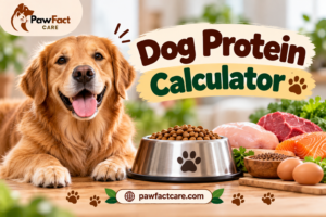 Dog Protein Calculator